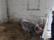 Img_20240924_114641