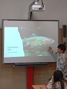 Img_20250403_100936