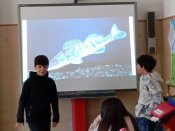 Img_20250403_101154