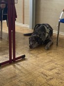 Img_0841