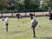 Img_20240911_110242