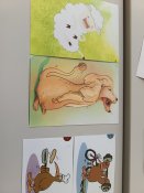 Img_20240925_115442