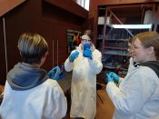 Img_20250219_093540