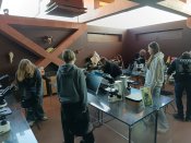 Img_20250219_104214