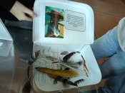 Img_20250219_110140