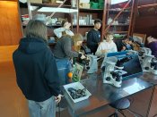 Img_20250219_111451