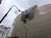 Img_20250603_142449