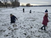Img_20250114_103708