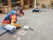 Img_20250311_081918