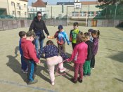 Img_20250312_105253