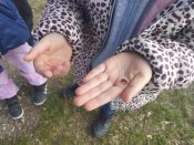 Img_20250325_102914