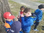 Img_20250325_103051