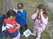 Img_20250325_103111