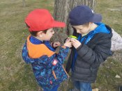 Img_20250325_103131