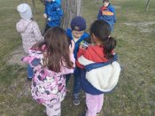 Img_20250325_103246