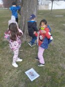 Img_20250325_103253