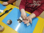Img_20250331_091833