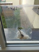 Img_20250401_084721