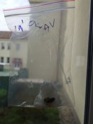 Img_20250401_084739
