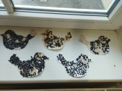 Img_20250401_084829