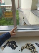 Img_20250401_095648