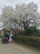 Img_20250407_102425