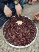 Img_20250424_082554