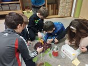Img_20250425_085823