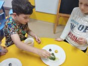 Img_20250528_083648