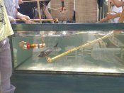 Img_20250618_102312