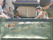 Img_20250618_102318