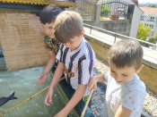 Img_20250618_102428