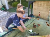 Img_20250618_102431