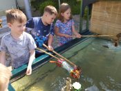 Img_20250618_102442