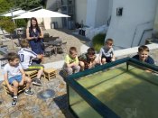 Img_20250618_102705