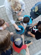 Img_20250620_190925