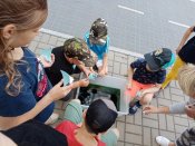 Img_20250620_193252