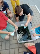 Img_20250620_193333
