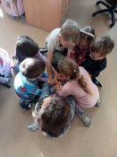 Img-20251113-wa00001