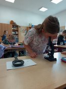 Img-20260415-wa0015