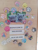 Img_20250908_1346481