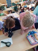 Img_20260415_110331