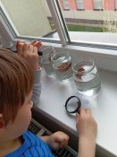 Img_20260415_110442