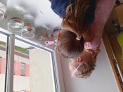 Img_20260415_123416