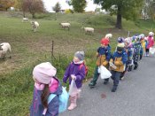 Img_20251016_092730 Img_20251016_092730