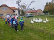 Img_20251016_093029 Img_20251016_093029