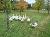 Img_20251016_093034 Img_20251016_093034