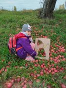 Img_20251016_093426 Img_20251016_093426