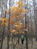 Img_20251016_104124 Img_20251016_104124