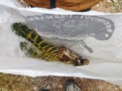 Img_20251016_104548 Img_20251016_104548